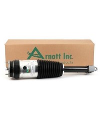 Ammortizzatore ad aria Tesla Model S
