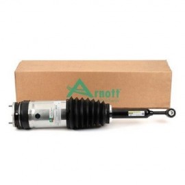Ammortizzatore ad aria Tesla Model X - 5YJX