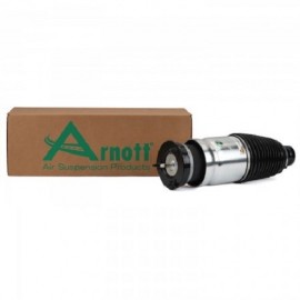 Ammortizzatore ad aria Tesla Model S