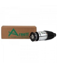 Ammortizzatore ad aria Tesla Model S