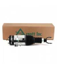 Ammortizzatore ad aria Dodge RAM 1500