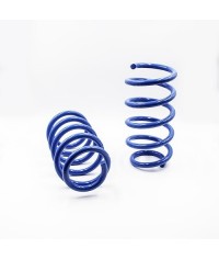 Coppia molle posteriori Suzuki Ignis All Grip