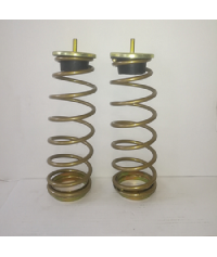 Coppia molle carico posteriori Nissan Murano