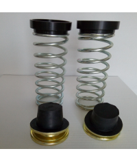 Coppia molle carico posteriori supplementari Chevrolet Tacuma