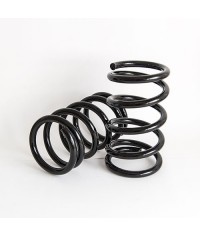 Molle Assetto Anteriori Lancia A112 Abarth