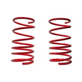 Molle Assetto Anteriori Renault Clio 1.8 RSI