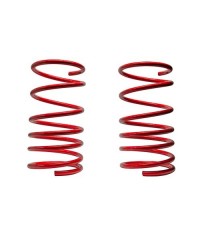 Molle Assetto Anteriori Renault Clio 1.8 RSI