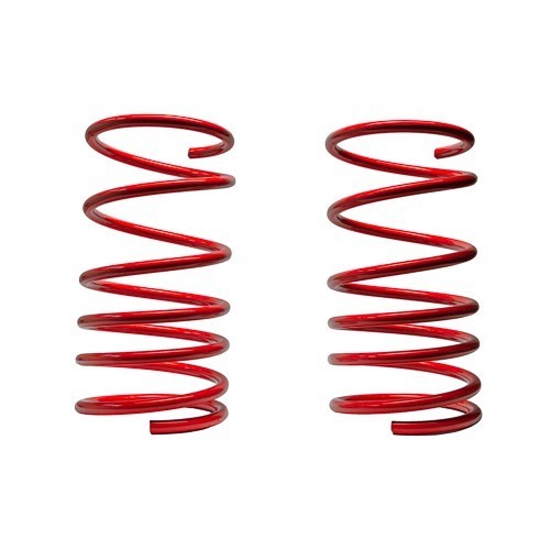 Molle Assetto Anteriori Renault Clio 1.8 16Valvole