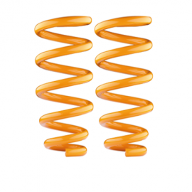 Molle Rialzo Anteriori Honda CR-V