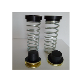 Molle Carico Posteriori Fiat Panda 141 - Seat Marbella