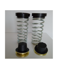 Molle Carico Posteriori Fiat Panda 141 - Seat Marbella