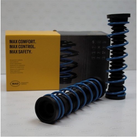 Molle Carico Posteriori Bmw Serie 5 E28