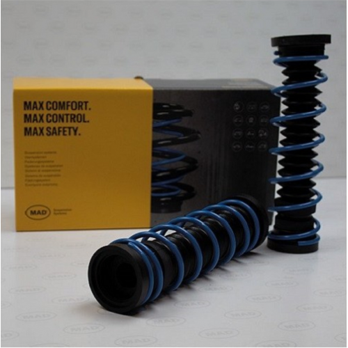Molle Carico Posteriori Bmw Serie 5 E28