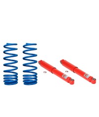 Ammortizzatori e Molle Citroen- Fiat- Opel- Peugeot- Toyota