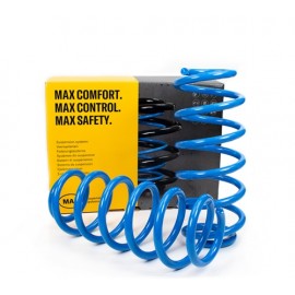 Molle Rinforzo Posteriori Suzuki Swift Allgrip