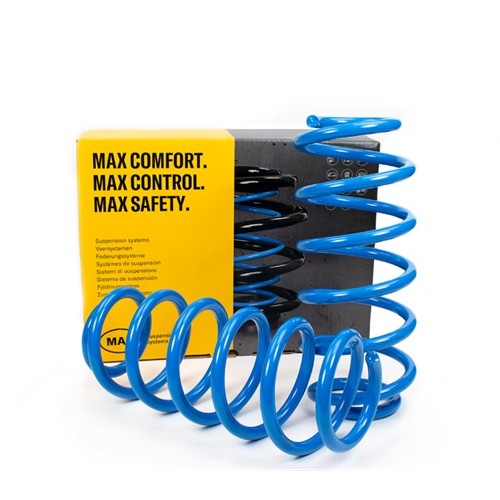 Molle Rinforzo Posteriori Suzuki Swift Allgrip