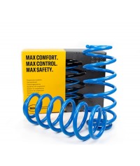 Molle Rinforzo Posteriori Suzuki Swift Allgrip