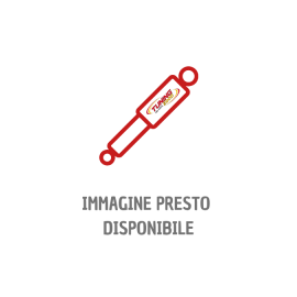 Ammortizzatore Anteriore Honda
