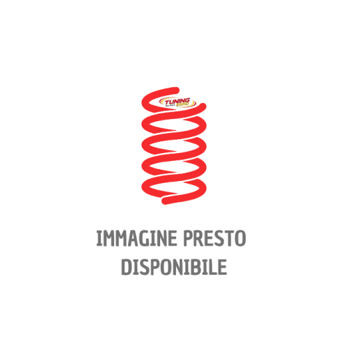 Molle Posteriori Fiat Palio Weekend