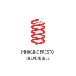 Molle Rinforzo Posteriori Ssangyong Tivoli