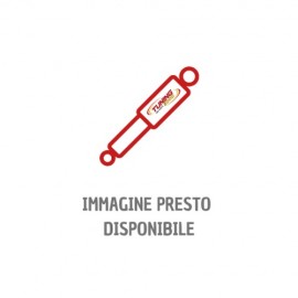 Ammortizzatore Anteriore...