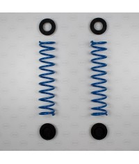 Nella foto ritrae il kit molle carico posteriori Audi - Seat - Skoda - Volkswagen