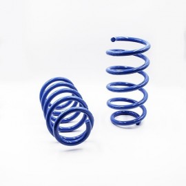 Molle Originali Anteriori Bmw X3 E83