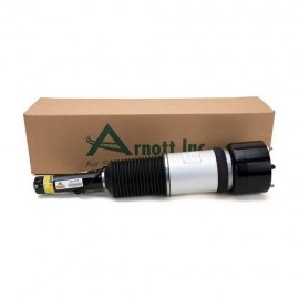 Ammortizzatore ad aria Mercedes Classe S W220