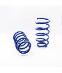 Coppia di molle posteriori rinforzate Subaru Forester SG - SGG - SGS