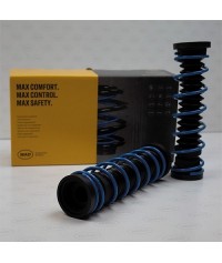 La foto raffigura molle posteriori di carico Volkswagen Golf Variant III
