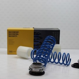 Molle Carico Posteriori Renault 21