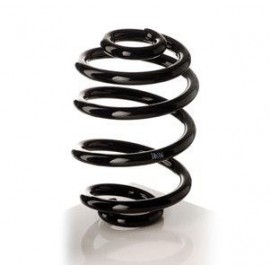 L'immagine rappresenta la molla originale posteriore per Ford Mondeo Berlina