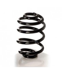 L'immagine rappresenta la molla originale posteriore per Ford Mondeo Berlina